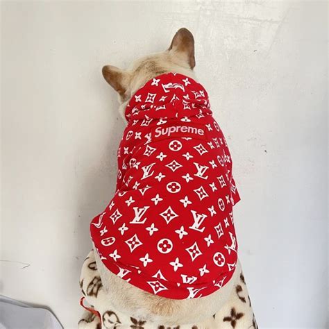 lv dog hoodie|louis vuitton dog jacket.